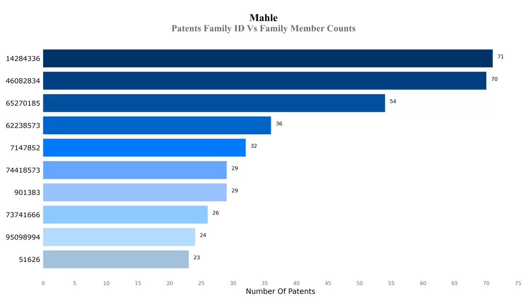 Mahle Patents Family ID Vs Family Member Counts